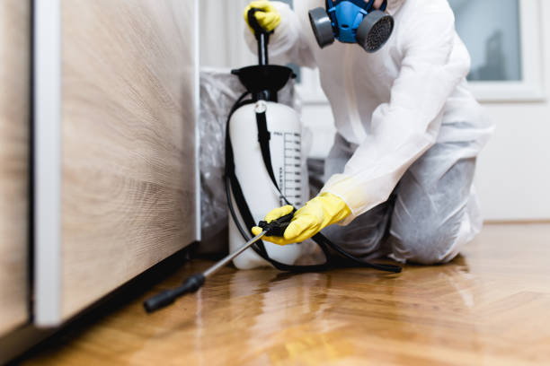 Best Mosquito Control Services  in Pine Beach, NJ