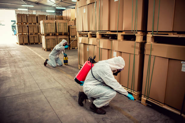 Best Best Pest Control Companies  in Pine Beach, NJ