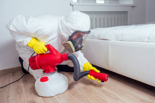 Best Wasp Removal Services  in Pine Beach, NJ