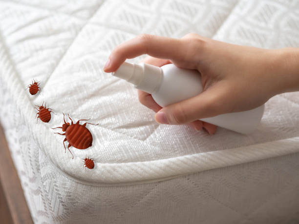 Best Pest Prevention Services  in Pine Beach, NJ