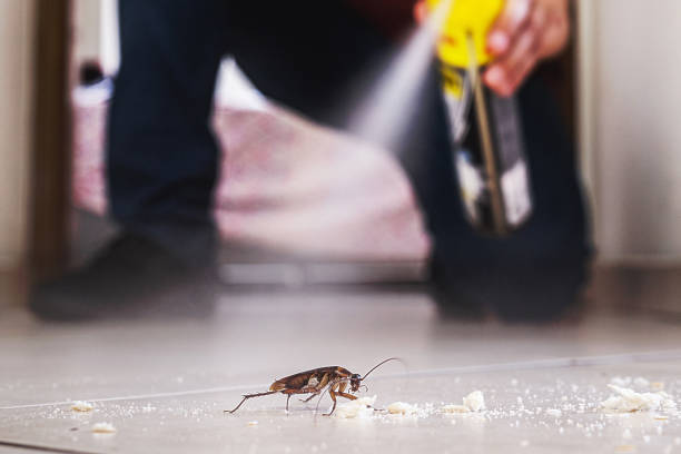 Best Pest Inspection Near Me  in Pine Beach, NJ